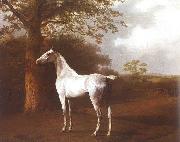Agasse, Jacques-Laurent White Horse in Pasture France oil painting artist